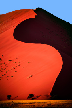 4nimalparty:  Dune 45 (by aftab.) 