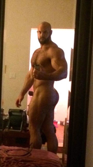 musclehank:  JJ Forte, muscle beast