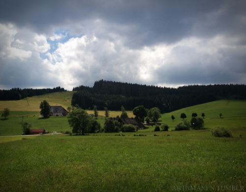 Driving through the Black Forest. Schönwald im Schwarzwald, Juni 2014.