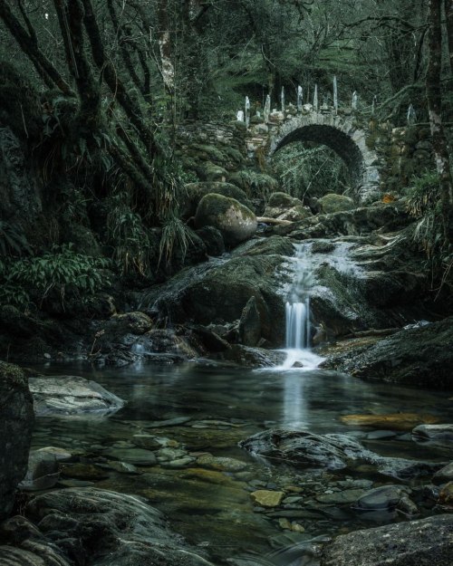 medieval-woman:Fairy Bridge at the head of Loch Creran by Alistair Walker