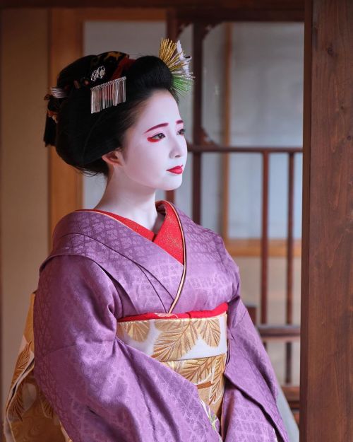 umeno-okiya:Maiko Umehina in stunning purple during her sakkou days(SOURCE)