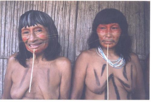 Matses, by Edward Vallance.