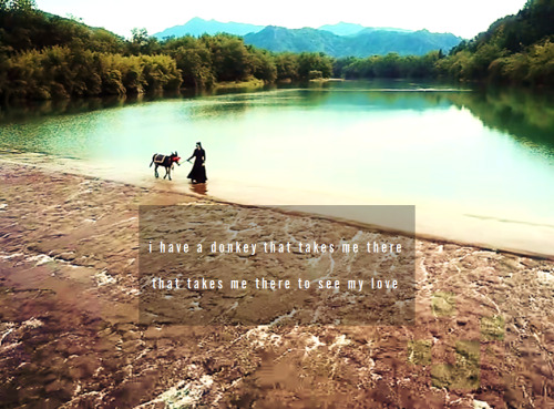 manhasetardis:“I have a donkey that takes me there, that takes me there to see my love. Riding it, I