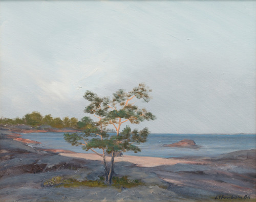 Lasse Stenbom (1928 - 1986) - Pine Beach. 1984. Oil on canvas.