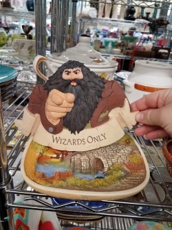 lmaonade:  shiftythrifting: found at a goodwill in concord, ca. i feel threatened 