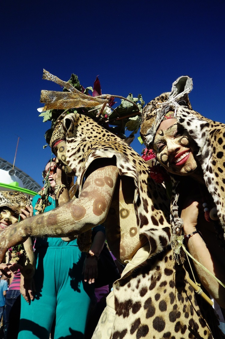 Jaguares en la Danza del Pocho. Tenosique, Tabasco.
Jaguars dancing in La Danza del Pocho in Tenosique, Tabasco.