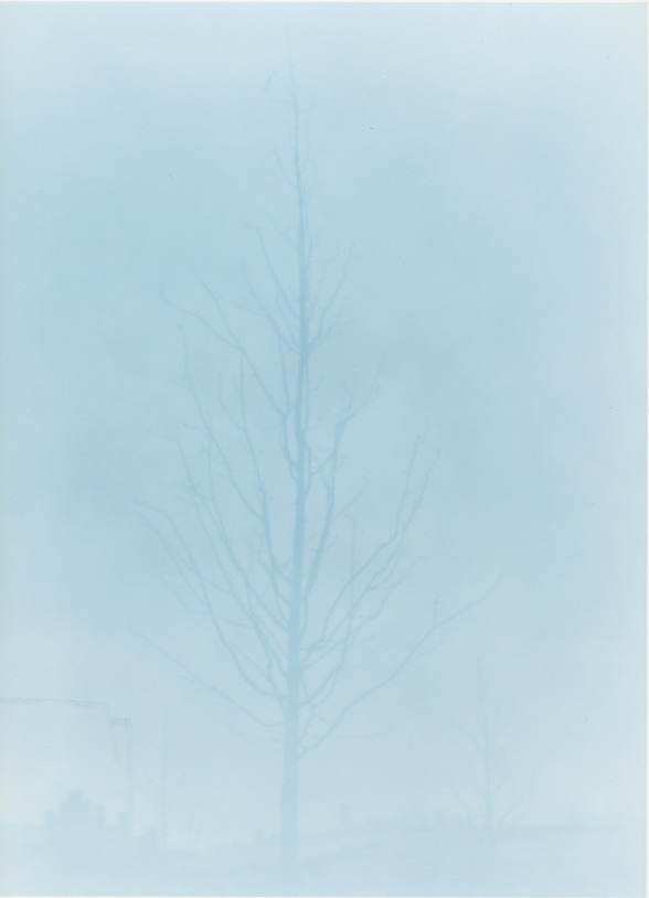 museumuesum:  OLA KOHLEHMAINEN Hellblaue Landschaft, 2006 C-Print, 250 x 180 cm