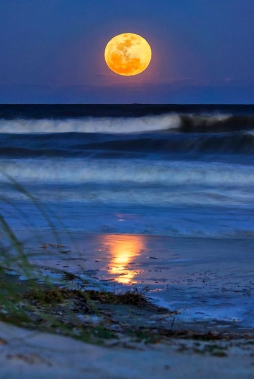 submissiveinclination:  Goodnight Moone