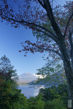tulipnight:  Early autumn(Mt.fuji,富士山） by Blue Ridge Walker on Flickr.