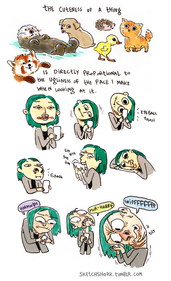 sketchshark:  Cute things. 