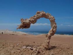 unexplained-events:  Fulgurite Formed when lightning strikes sand.