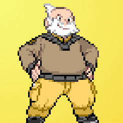 dragona1r:Hoenn Gym Leaders