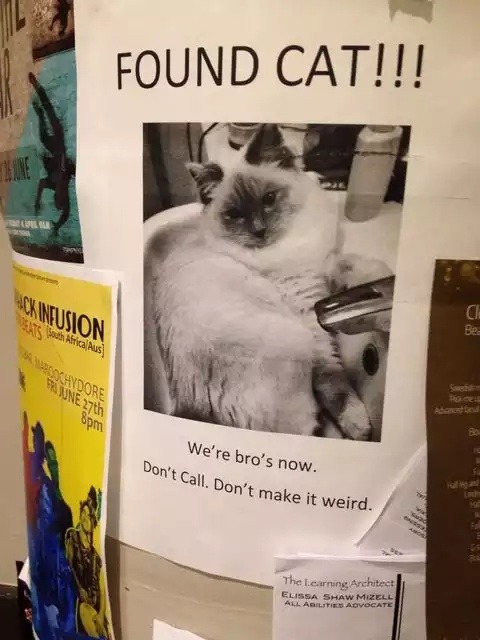 encoreducowbells:  I give it a week. 