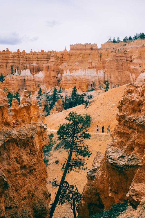 Hiking amongst the hoodoos || Bryce Canyon, April 2014Photography by Korey Klein