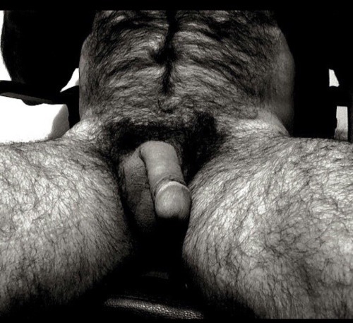 Exceptionally hairy, sexy man - wishing he was all mine - WOOF