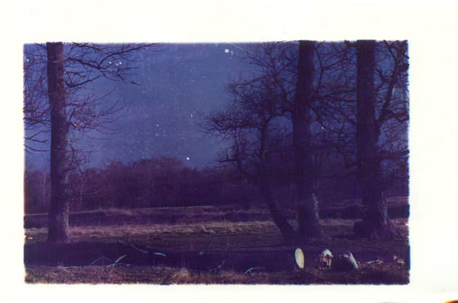 mcrdeviantclub:   Photography by Andrew Pershin (deviantART) Do not remove credit.