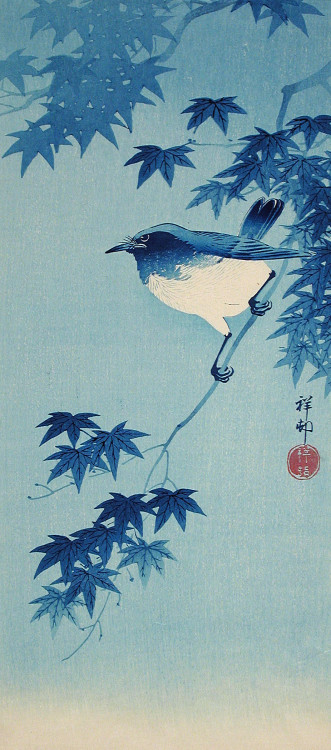 heaveninawildflower:‘Robin on a Maple Branch’ (1935) by Ohara Shōson (Japan, 1877-1945).Woodblock pr