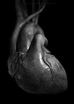 ~e edit / a human heart / black