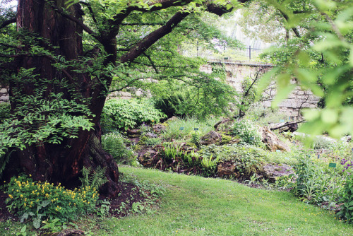 englishsnow:   Sandra Beijer 
