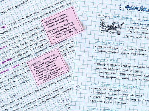 studyrose: close-up of my english notes!