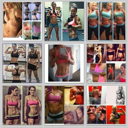 sexygymchicks:  @misspaulinapocket: For all the sexy gym babes out there you need to go follow @fitgymbabes! Www.sexygymbabes.com #sexygymbabes