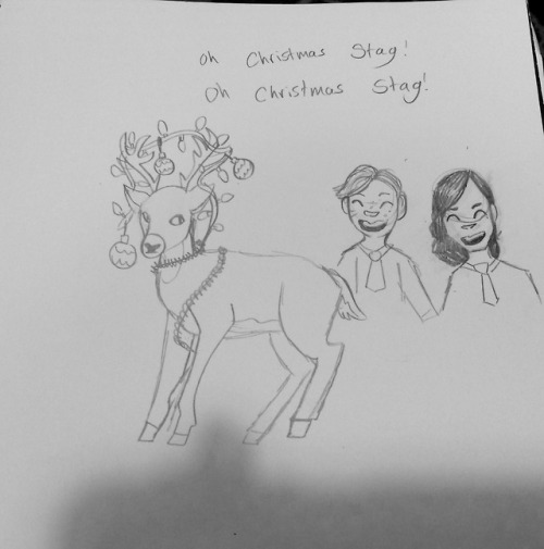 Sirius and Remus make James turn into a deer and decorate him like a christmas tree.