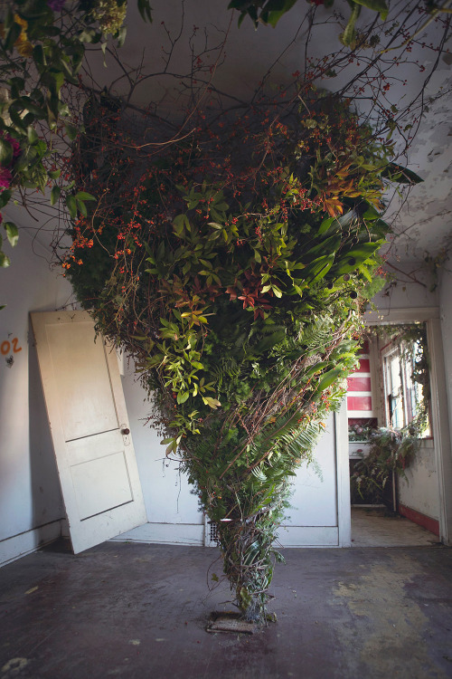 itscolossal:  Three-Dozen Floral Designers Transform a Condemned Detroit Duplex with 36,000 Flowers 