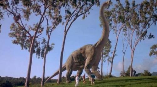 Brachiosaurus Scientific Name: Brachiosaurus Altithorax Dimensions: 26m long and 12-16m tall Lived: 