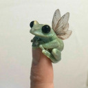 frogshollow avatar