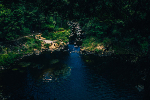 Northland, New Zealand. Waipoua Forest &ndash;&gt; Hokianga &ndash;&gt; Keri Keri&nb