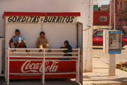 roundmexico:Hanging out in the shade.