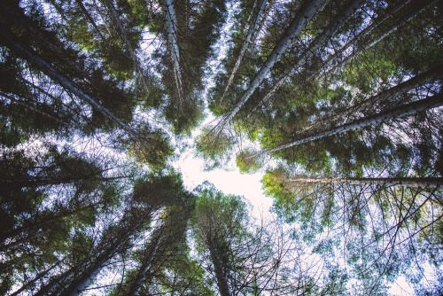 Spent some time amongst the big boys yesterday. | Slieve Donard, Mourne Mountains, Newcastle, Co.Dow