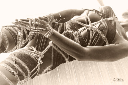 Acordesetacris:  Shibari