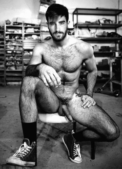 swiss-stallion:  sportsman collected from