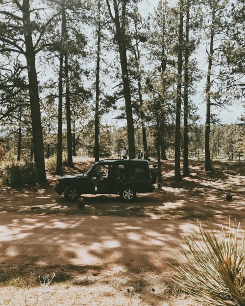 roily:Camping at the red rocks this past July. This trip took a bit of a toll on my Land Rover and i