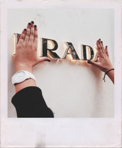 theblood-inmyveins:  p•rad•a 