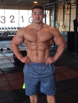 Muscle Lover