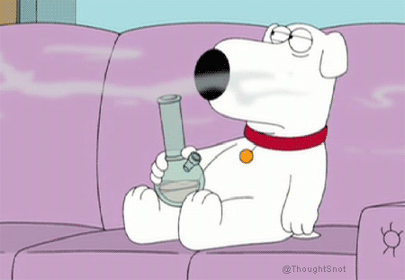 theadultswimpage:  Something tells me that the writers of Family Guy are supporters of marijuana, well the more reason to watch it.            - [adult swim] fan 