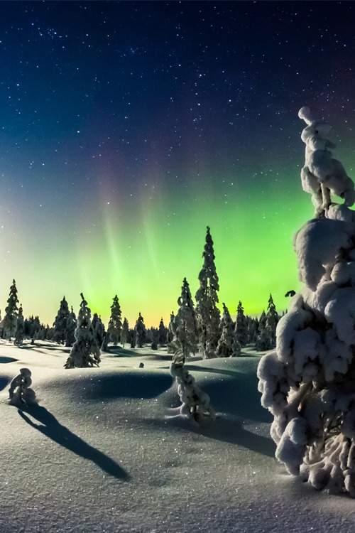 xglan:  Lights of winter by Mikko Karjalainen 