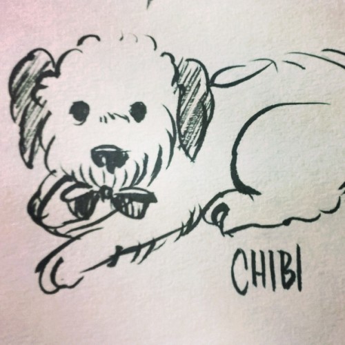 Chibi #dog #poodle #ink #playingwithink