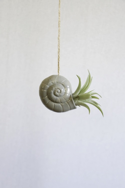 Hanging Decoration Air Planter Jellyfishby this Star Seller on Etsy :  Here 