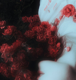 the-unintended-muse:  lauramakabresku:  the garden of wounds  | p o e t ’ s • m u s e | 