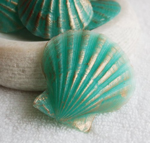 lilac-soap:Clam Shell Soap // CutiePieSoaps