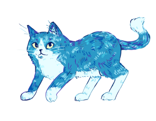 a kitten number blue!!