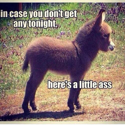 dustie321: Good night and good luck