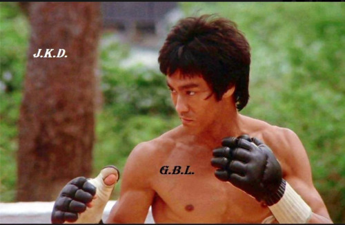 taichi-kungfu:  Bruce lee was the father of MMA, the master of Kung fu.
