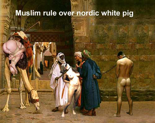 whiteboy4blacks:  praetorianer2017:  Muslims are strong Muslims are fertile Muslims rule no mercy for german slave   NO MERCY FOR GERMANY! 