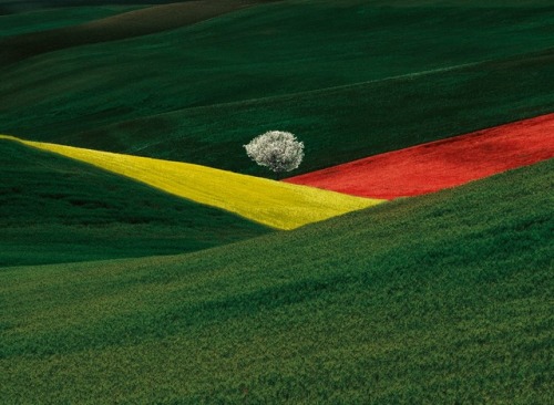 hiro-mon-amour: Photographer: Franco Fontana