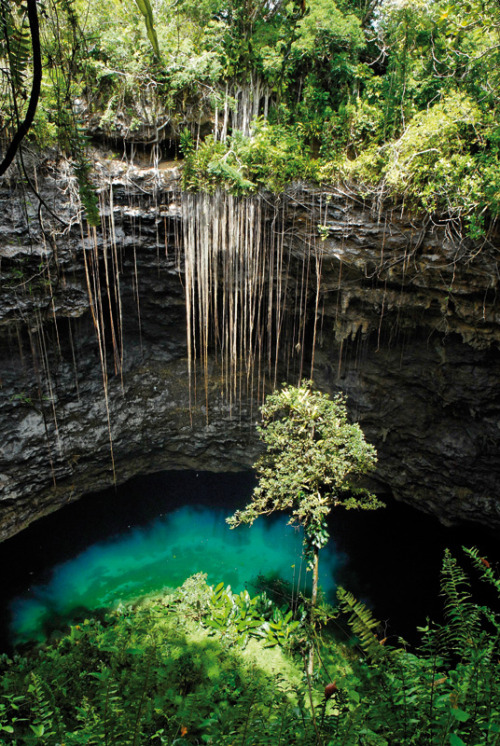 visitheworld:  Trou de Bone sinkhole in Mare Island, New Caledonia (via ultramarina.com).  ❁❁ tropic