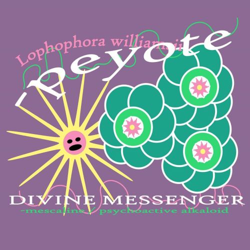 “Divine Messenger” Graphic / 2020bought this shirt off the side of the road from a spiritual man nea